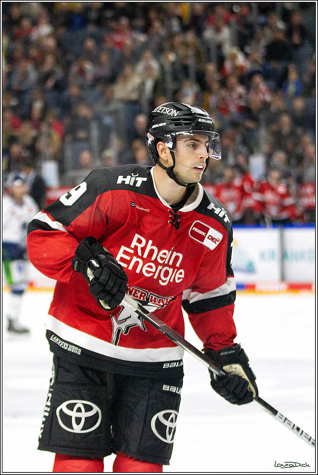 PENNY DEL;  Koelner Haie - Straubing Tigers; Koeln, 15.10.2021